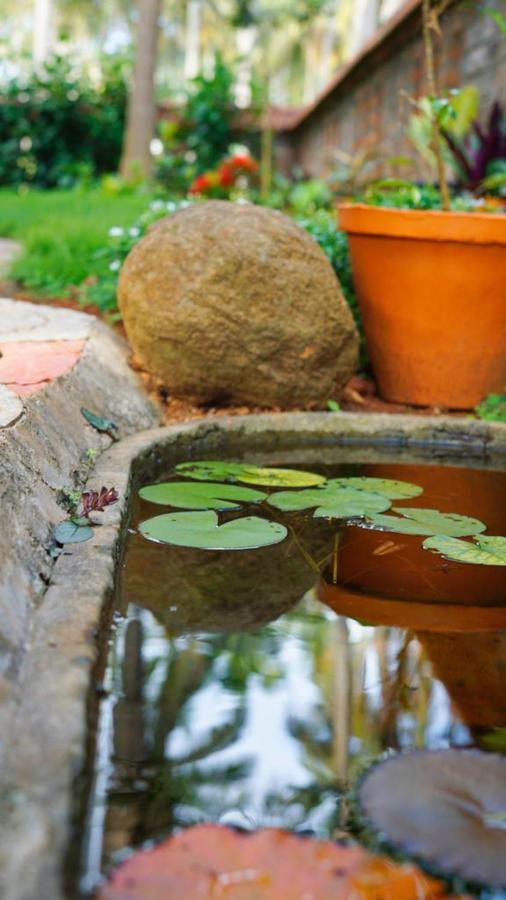 Dr Nisha'S Vedic Remedies Thiruvananthapuram Luaran gambar